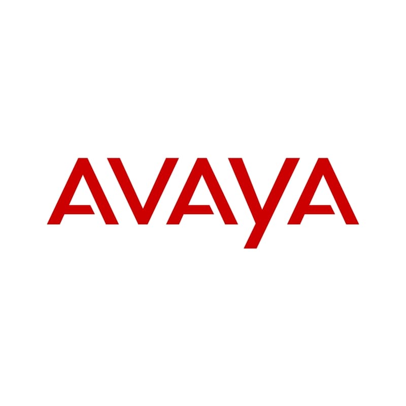 Avaya CMS R19 Additional Session License